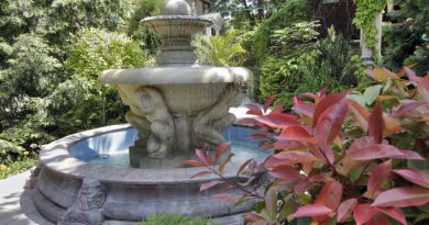 Старый Парк в Кабардинке