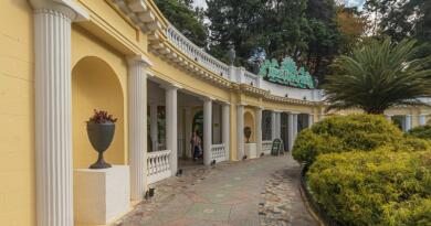 Парк "Дендрарий"