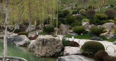 День Мечты (Mriya Resort & SPA 5*незабываемое время на курорте премиум-класса) img-15370