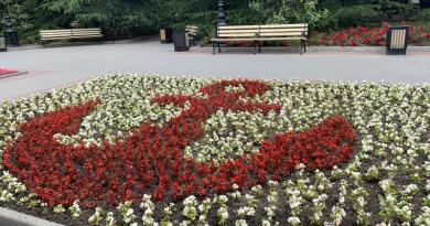 Большая обзорная экскурсия по Севастополю-главные достопримечательности img-16329