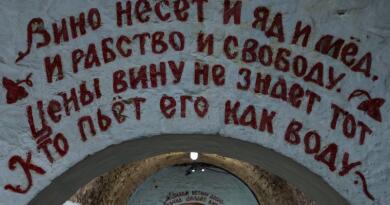 Царство виноградной лозы img-16799