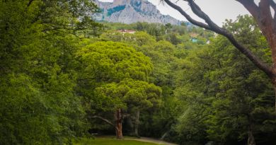 Алупка - Теплоход-Ласточка-Ялта img-7447