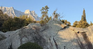 Лучшее в Крыму : Воронцовский дворец , замок "Ласточкино гнездо" и морская прогулка в Ялте img-14623