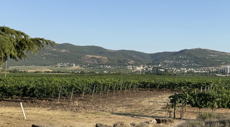 Летний вечер в Севастополе. Вино и море img-16228