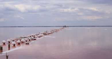 Кояшское озеро: Соленое озеро розового цвета в Крыму