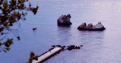 Индивидуальная экскурсия "Имение княгини Гагариной и дворец "Дюльбер" img-6561