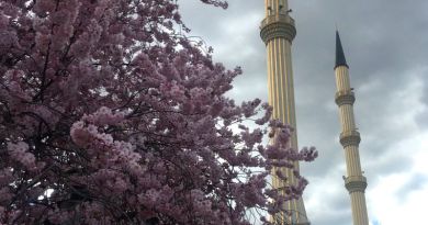 Чечня - три города за один день  в мини группе img-13728