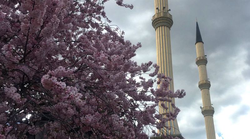 Чечня - три города за один день  в мини группе img-13728