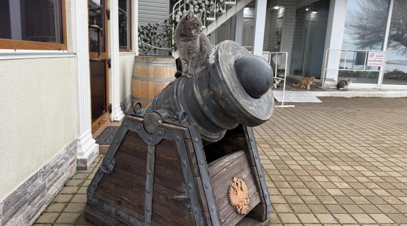 Севастополь от античности и до наших дней img-16239