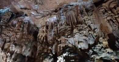 Форосское царство: от гор до моря img-16193