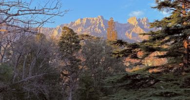 Лучшее в Крыму : Воронцовский дворец , замок "Ласточкино гнездо" и морская прогулка в Ялте img-14665