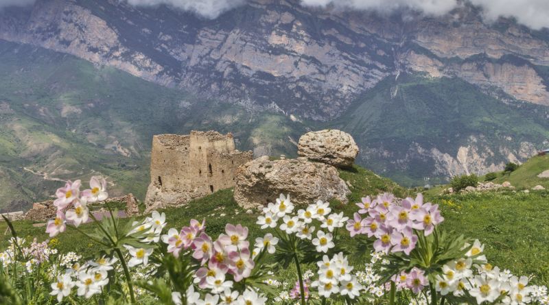 Северная Осетия: Дигория img-11859