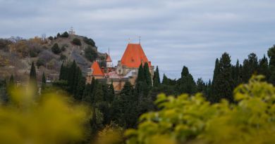 Райский уголок-Парк Парадиз img-12756