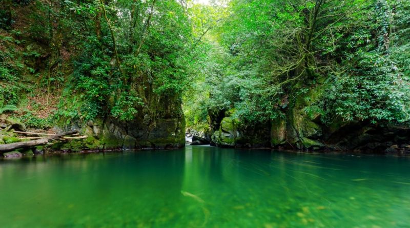 Квадроциклы маршрут - "Волшебный лес" img-13140