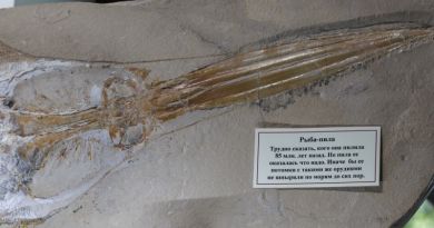 Кабардинка