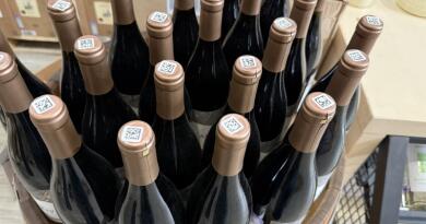 Великолепная лаванда Крымского Прованса и винодельня Фотисаль img-16361