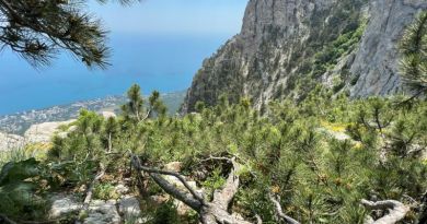 Супер-тур: Канатная дорога на Ай-Петри, замок Ласточкино гнездо и морская прогулка в Ялту img-14293