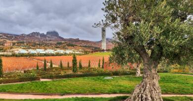 Винный парк Winepark отель Мрия