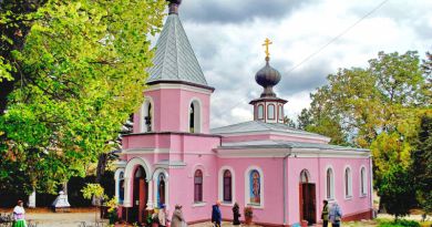 Топловский монастырь img-6996
