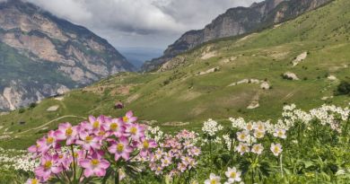 Северная Осетия