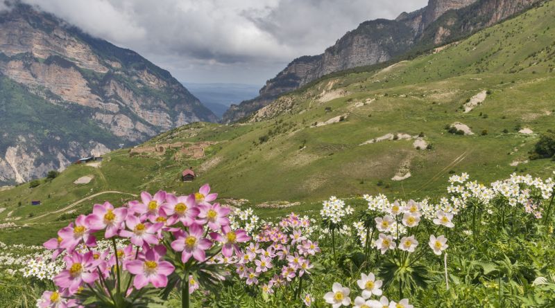 Северная Осетия: Дигория img-11863