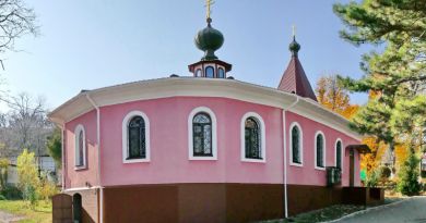 Топловский монастырь img-11004