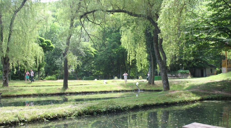 Путешествие по Южному берегу за форелью и новыми впечатлениями. img-5809