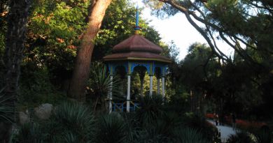 Никитский  ботанический сад img-5775