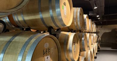 Летний вечер в Севастополе. Вино и море img-16230