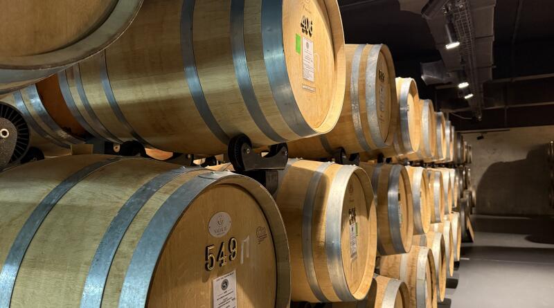 Летний вечер в Севастополе. Вино и море img-16230