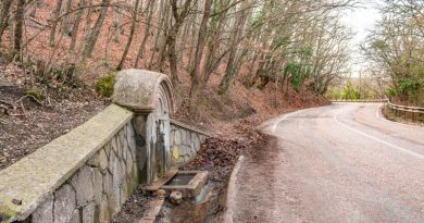 Увлекательное путешествие по Южному берегу Крыма. img-8712