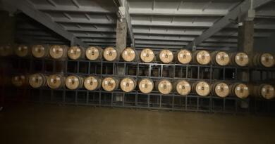 Великолепная лаванда Крымского Прованса и винодельня Фотисаль img-16358