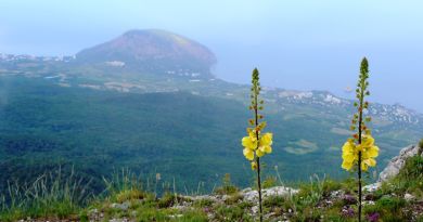 Крымский природный заповедник img-11040