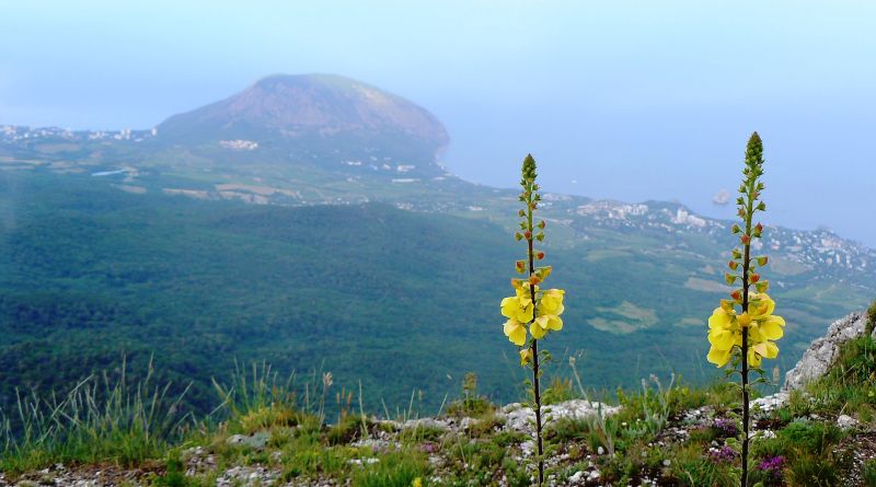 Крымский природный заповедник img-11040