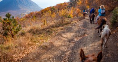 Конные прогулки в горах над Гурзуфом img-10447