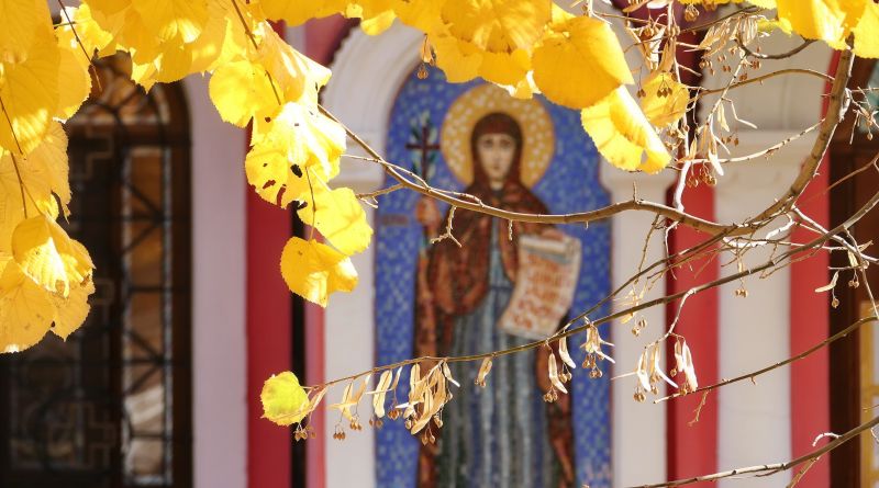 Топловский монастырь img-11005