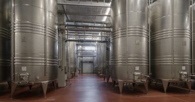 Винодельня Шато де Талю