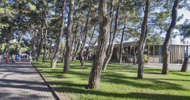 Геленджик: Набережная, Сафари-парк, Шато де Талю, старый Парк. img-11702