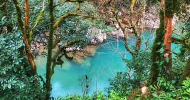 Квадроциклы маршрут - "Волшебный лес" img-13138