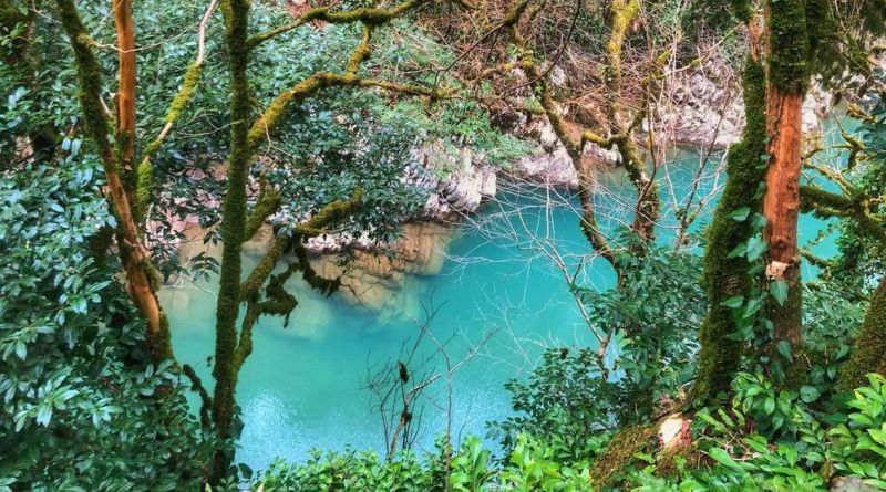 Квадроциклы маршрут - "Волшебный лес" img-13138