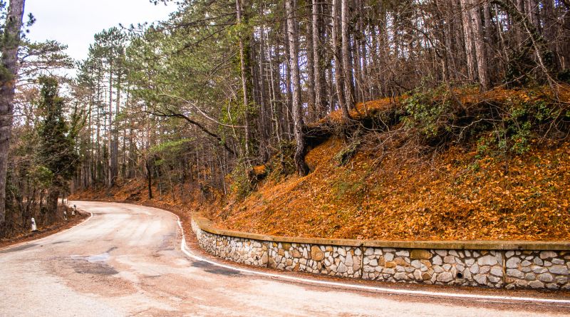 Алупка, дворец- Учан-Су- Ласточка img-8381