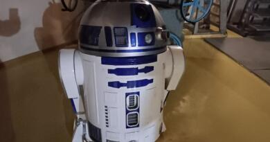 Звезды южных ночей для астрофизических туристов img-16139