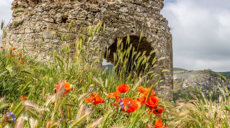 Древний Инкерман. Завод марочных вин, крепость, монастырь. img-9660