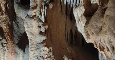 Форосское царство: от гор до моря img-16196