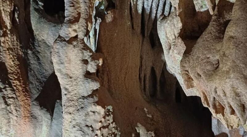 Форосское царство и морская прогулка img-16196