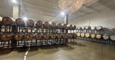 Великолепная лаванда Крымского Прованса и винодельня Фотисаль img-16359