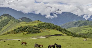 Джейрахско-Ассинский заповедник