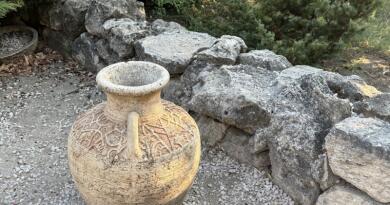 Летний вечер в Севастополе. Вино и море img-16226