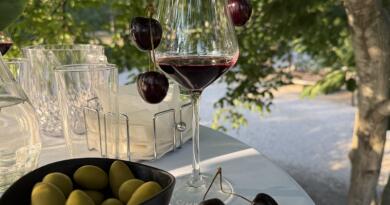 Летний вечер в Севастополе. Вино и море img-16221