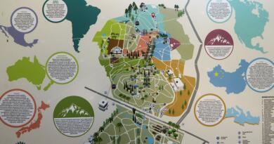 Парк "Дендрарий"